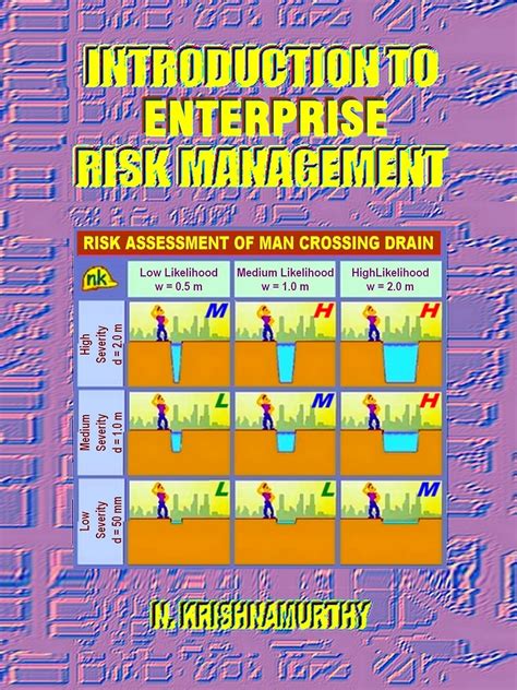 Introduction to Enterprise Risk Management: Fundamentals of Risk ...