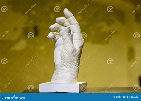 Hand Plaster 的图像结果