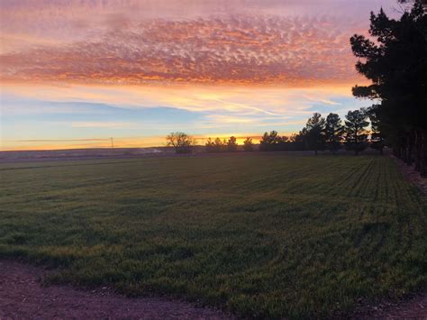 Ray & Lucille's place - Hipcamp in La Mesa, New Mexico