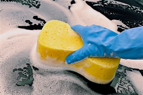 Image result for How to Remove Bird Poop