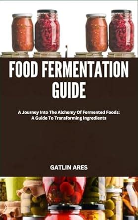 Buy Food Fermentation Guide: A Journey Into The Alchemy Of Fermented ...