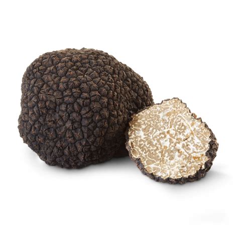 Fresh Italian Summer Black Truffles 2 oz by Alma Gourmet: Amazon.com ...