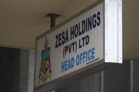 Subsidiaries Of Zesa