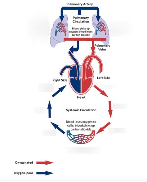 Circulate 的图像结果