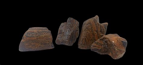 Best Cheapest Aquarium Fish Online at Low Price – Best4Pets