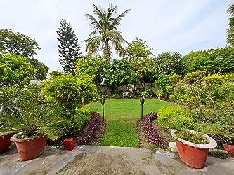 Mi 11 Ultra 5G (Ceramic Black, 12GB RAM, 256GB Storage) | Snapdragon ...