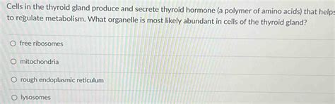 Solved: Cells in the thyroid gland produce and secrete thyroid hormone ...