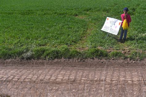 Image result for 2018 Paris-Roubaix Full