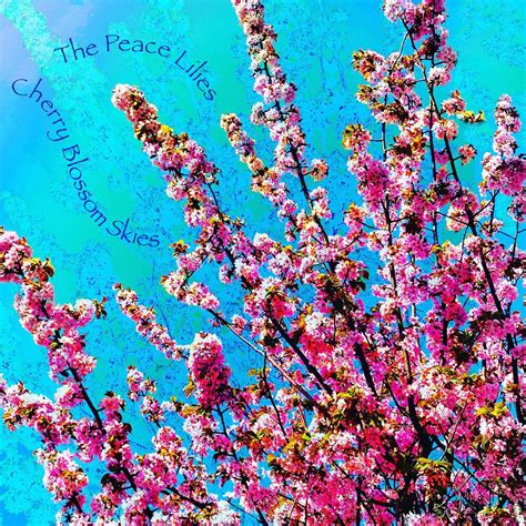 The Peace Lilies - Cherry Blossom Skies - Bored City