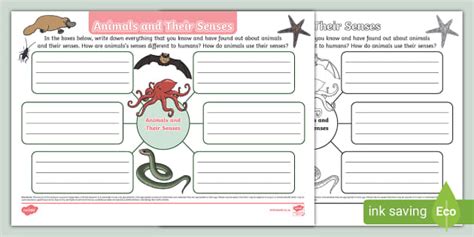 Animals and Their Senses Mind Map