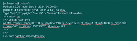 Image result for File Explore Python Linux