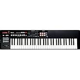 Roland XPS-10 Expandable Synthesizer Pro Keyboard : Amazon.in: Musical ...