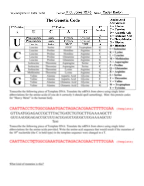 Protein Synthesis Handout at Abbie Patterson blog