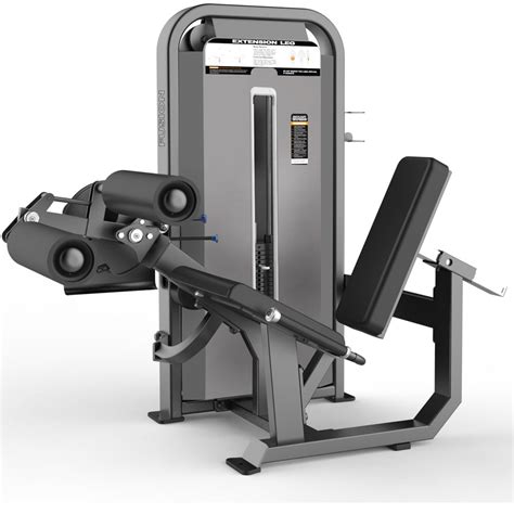 Top and Best Leg Extension / Leg Curl F 5086 Gym Equipment Brand In India