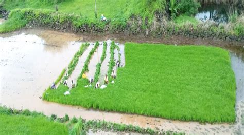 SINGHGAD ECO VALLEY (Mordhari) - Campground Reviews, Photos, Rate ...