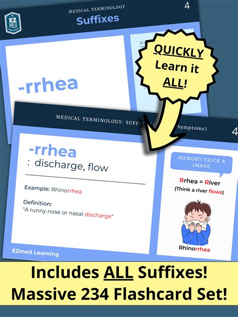 Medical Terminology Flashcards Amazon at Anne Brown blog