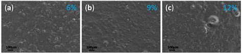 Fungicidal PMMA-Undecylenic Acid Composites