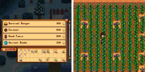 Stardew Valley: Everything You Need To Know About Ancient Fruit