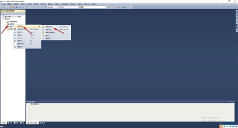 Run Program Visual Studio 的图像结果
