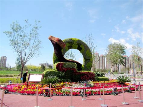 第七届中国—亚欧博览会丨乌鲁木齐市布置主题花坛欢迎八方宾客 -天山网 - 新疆新闻门户