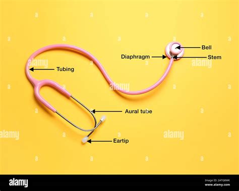 Modern stethoscope with names of particular parts on color background ...