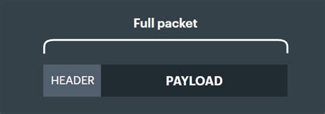 Image result for Encapsulated Packet