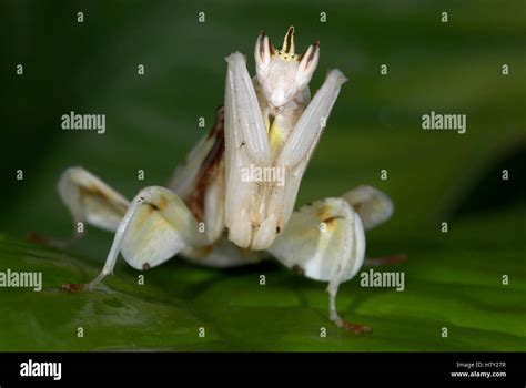 Image result for Blog.html Design