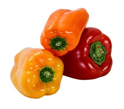 Sweet Bell Pepper, Colorful Vegetable, Fresh Produce, Garden Harvest ...