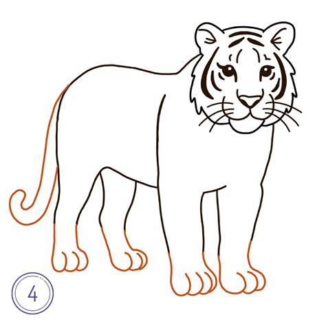 Image result for Tiger Drawing Tutorial