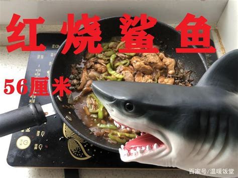 鲨鱼怎么做好吃（鲨鱼如何做好吃）