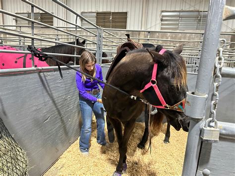 RODEO SHIRTS COLLECTION – Tagged "PERFORMANCE SPANDEX" – Ranch Dress'n