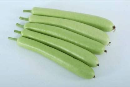 UGRA Bottle Gourd Ghiya Seed Price in India - Buy UGRA Bottle Gourd ...