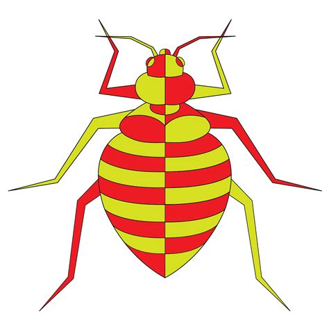 Termites