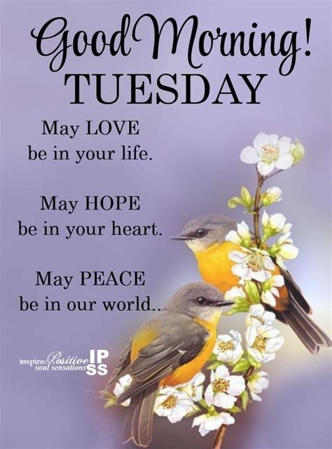 10 Inspirational Tuesday Quotes To Help You Get Through The Week