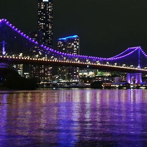 BRISBANE FERRY NETWORK (2025) All You Need to Know BEFORE You Go (with ...