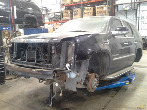 Vehicle List - Ewe Pullet