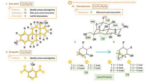 Image result for Line Structures
