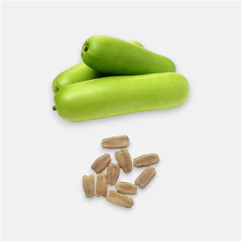Buy Bottle Gourd Seeds 5gm Online at Best Price - Plantsguru