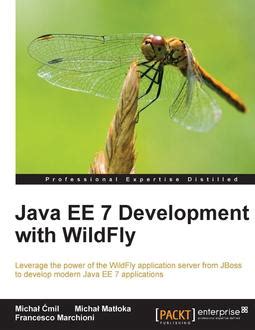 Java EE 7 Download 的图像结果