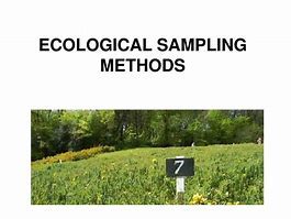 Image result for Sampling Methods in Biology