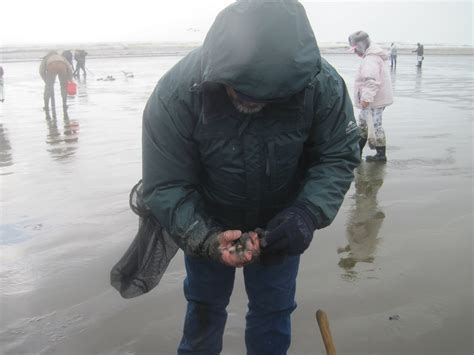 Image result for Razor Clam Digging