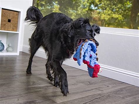 Premium Go Dog dog toys online | Tails Nation