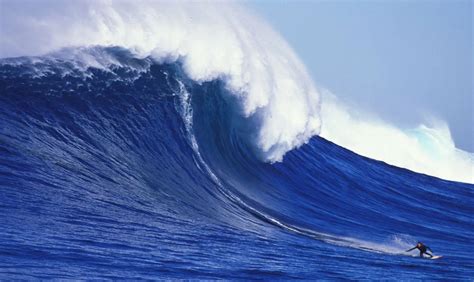 Image result for Wave Button Animation. CSS