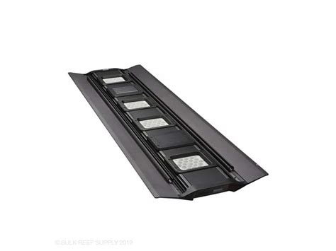 Chennai Aquarium - India’s #1 Online Aquarium & Aquascaping Store