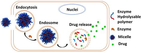 Recent Advances in Polycaprolactones for Anticancer Drug Delivery