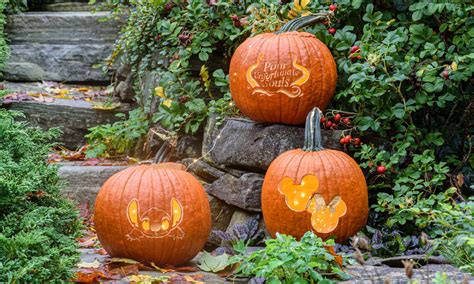 12 Disney Pumpkin Carving Stencils for Halloween | BeChewy