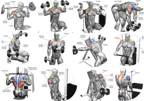 Image result for Functional Shoulder Exercises