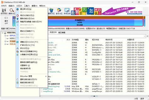 Image result for DiskGenius Pro