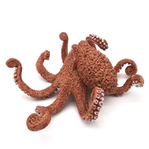 Image result for Octopus Metaheuristic Algorithm