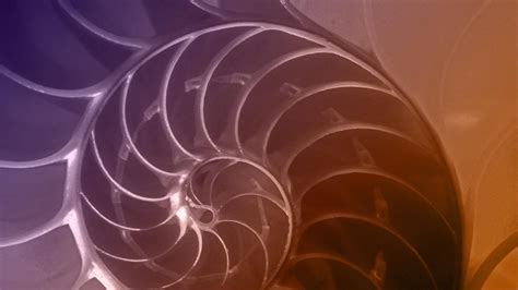 Image result for Great Math